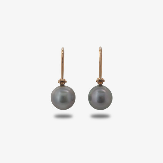 Tahitian Pearl Hook Earrings